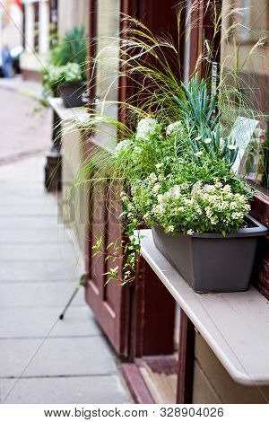 Flower Arrangement On The Street