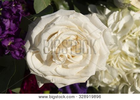 A Closeup Of A White Rose Blossom In A Wedding Arrngement In Bluemont,virginia