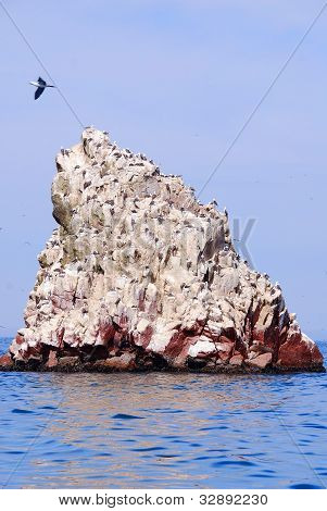Le isole Ballestas