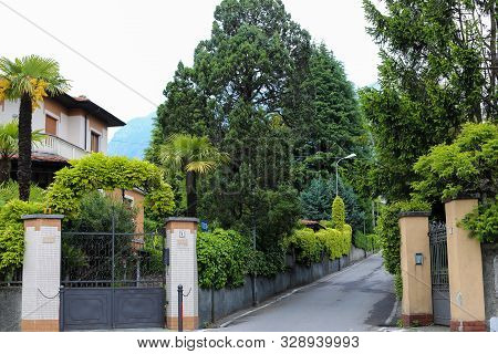 Lovely Exotic Palms In Mandello Del Lario And Trees Near House.