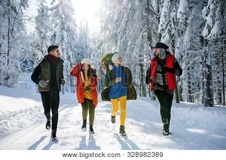 A Group Of Young Friends On A Walk Outdoors In Snow In Winter Forest.