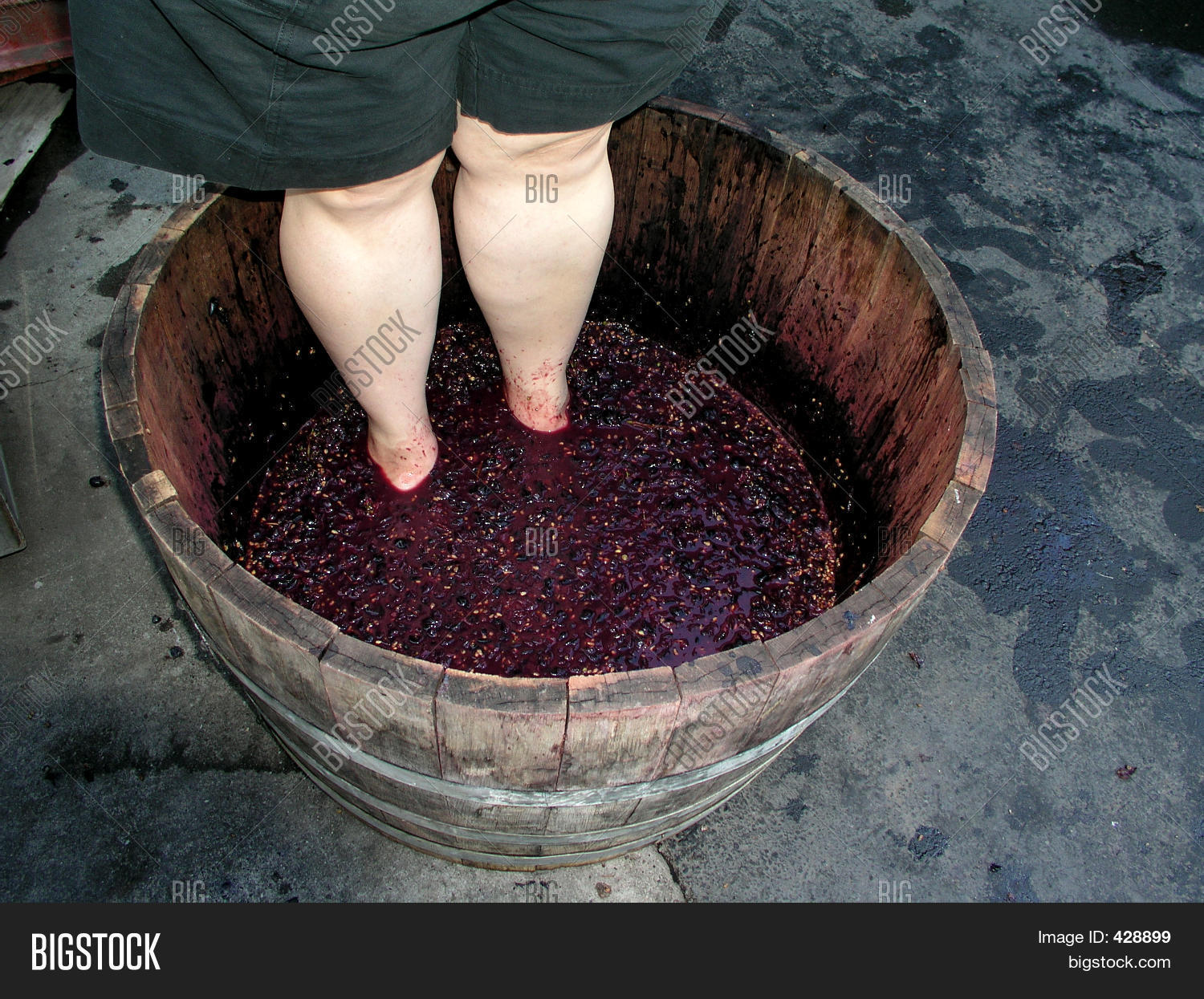 Woman Crushing Grapes Image & Photo (Free Trial) Bigstock