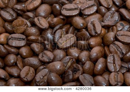 Close-up di chicchi di caffè
