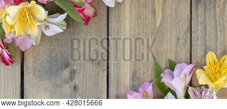 Banner With Background From Multi-colored Flowers With Copy Space. Multicolored Alstroemeria, Pink,