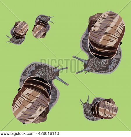 Large And Small Snails On A Green Background. Vector Stock Illustration.