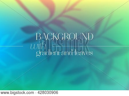 Vector Vibrant Gradient Background With Film Light Effect. Abstract Backdrop With Blurred Foliage El
