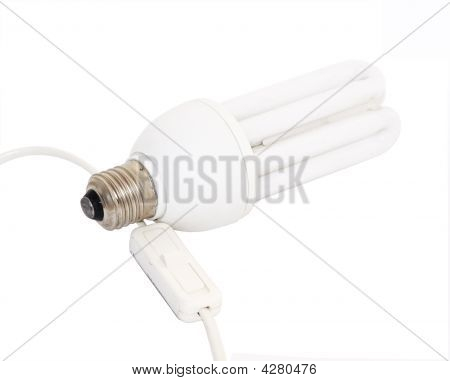 Bulb And Switch
