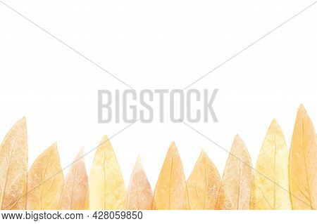 Autumn Leaf Frame, Template For Design With Oblong Orange Leaves At The Bottom.