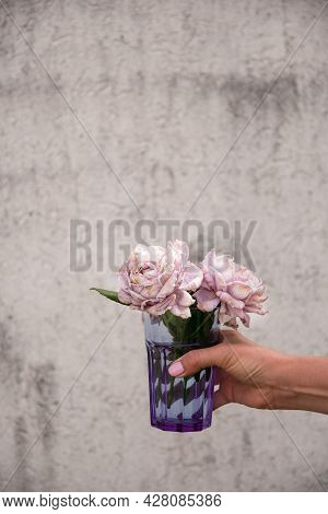 Female Hand Holding A Glass With Fading Buds Of Smoky Lilac Rose On A Gray Wall Background