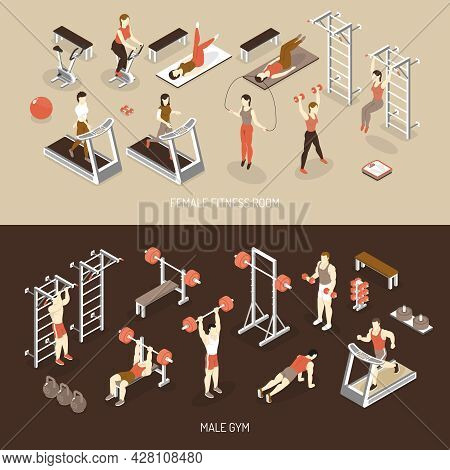 Fitness Isometric Horizontal Banners With Female Training Room Male Gym Scales Ladder Weight Dumbbel