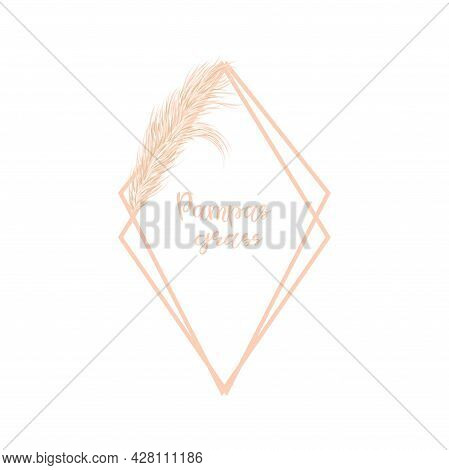 Dry Pampas Grass Geometric Frame On A White Background. Decor Of Invitations And Postcards. Hand-dra
