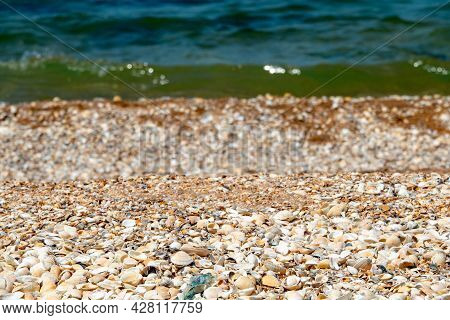 Crimea Peninsula. Koktebel. Cape Hameleon. Coastline Of The Black Sea Summer