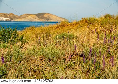 Crimea Peninsula. Koktebel. Cape Hameleon. Coastline Of The Black Sea Summer
