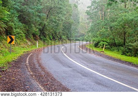 The Beautiful Tree Lined, Steep Windy Donna Buang Road Provides A Challenging Ride To The Summit For