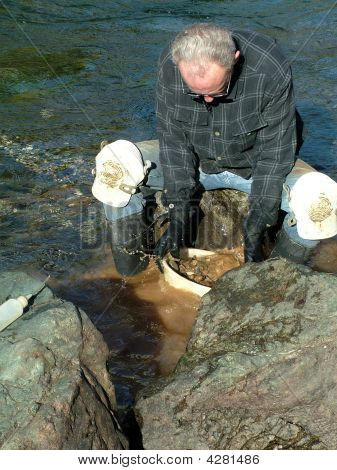 Guld, guldgraver, Miner