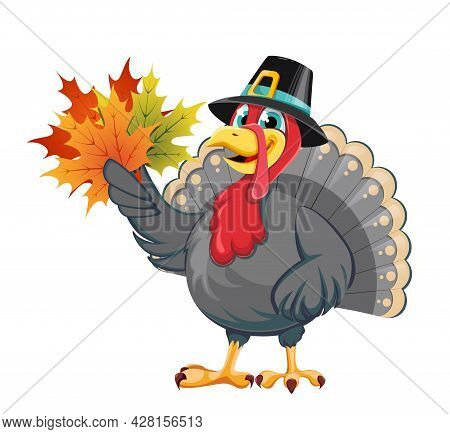 Happy Thanksgiving Day. Funny Cartoon Character Turkey Bird In Pilgrim Hat Holding Maple Leaves. Sto