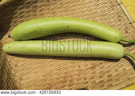 Bottlegourds Or White-flower Gourd Also Known As Calabash Are Long And Thin Melons. Indian Asian Veg