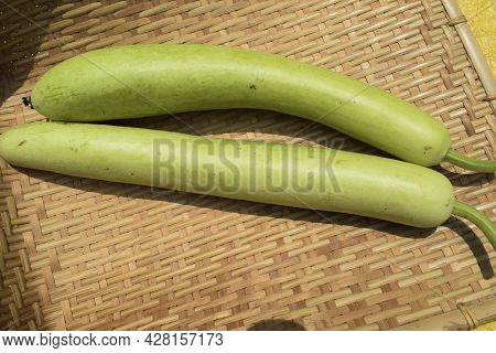 Bottlegourds Or White-flower Gourd Also Known As Calabash Are Long And Thin Melons. Indian Asian Veg