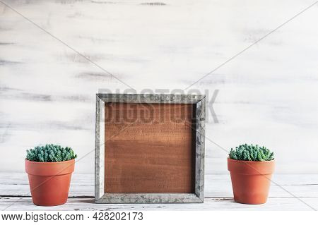Blank Wood Farmhouse Sign Or Picture Frame With Potted Creeping Sedum Succulents Over A Rustic Table