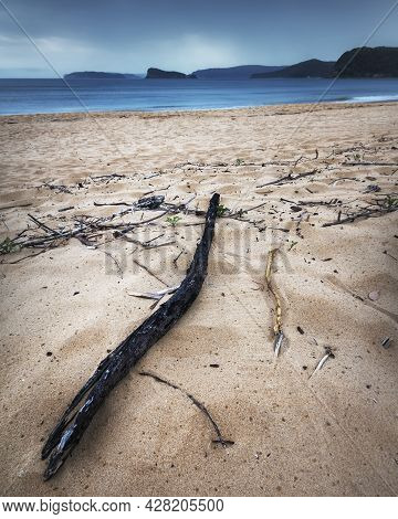 Stick On An Empty Beach At Umina
