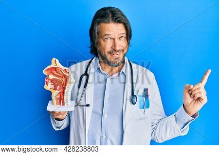 Middle age handsome otologist doctor man holding medical model smiling happy pointing with hand and finger to the side 