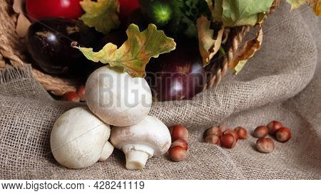 Three Porcini Mushrooms With Autumn Oak Leaf Lie On Burlap On Background Of Vegetables,banner, 16:9