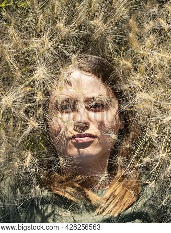 Portrait Of Beautiful Young Blond Woman Lying Among Fluffy Spikelets Of Barley Grass And Flowersin M