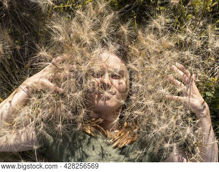 Portrait Of Beautiful Smiling Young Blond Woman Lying Among Fluffy Spikelets Of Barley Grass And Flo