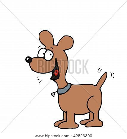 面白い犬