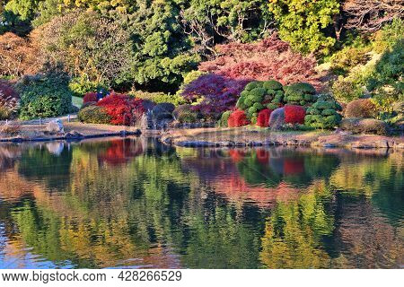 Autumn Colors In Japan. Koishikawa Botanical Gardens In Bunkyo, Tokyo, Japan.