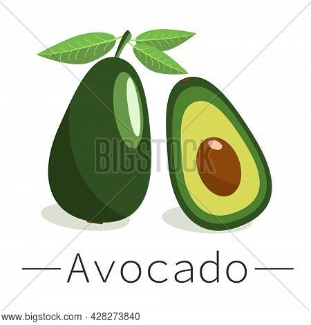 Avocado Vector Icon. Whole Avocado And Avocado In Cut. Exotic Fruits. Avocado Fruit In Flat Design. 