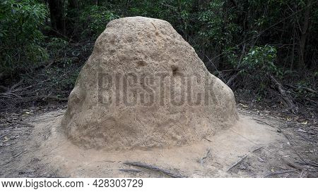 A Milk Termite Mound At Morton National Park