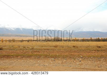 A Row Of Small Bushes In The Autumn Steppe Lying At The Foot Of A Mountain Range With Snow-capped Pe
