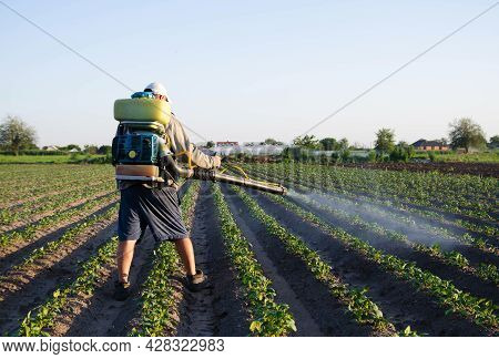 Farmer With A Sprayer Spray Plantation Plants. Protection Of Cultivated Plants From Insects And Fung
