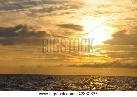 Sunset in Hawaii