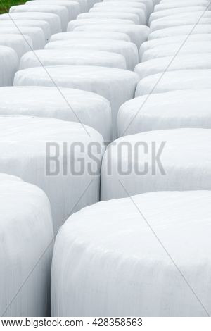 A Lot Of Hay Bales Making For Livestock Packed In White Plastic For Storage