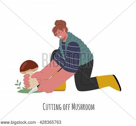 Mushroom Hunting.the Girl Is On Knees And Cuts Off A Mushroom With A Knife.cutting Off Techniques.ve
