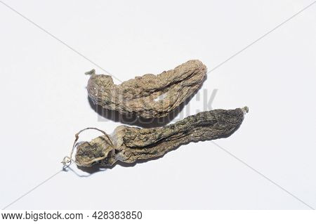Mummified Cucumber Fruits On A White Background
