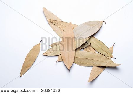 Leaf Spice, Talal Patra, Cinnamomum Tamala