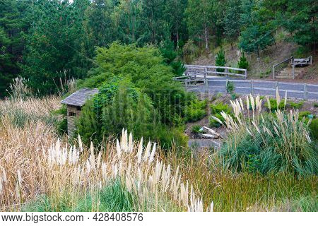 Bird-watching Hut Amongst The Reeds In Berwick Botanical Gardens