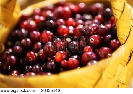 Ripe Cranberries In A Wicker Basket. Selective Focus. Close-up