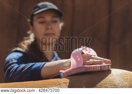 Female Horse Owner Brushing Off Dust From Her Horseback. Light Brown With A Blonde Mane Being Cleane