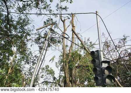 Super Cyclone Amphan Broke A Tree Which Fell On Street Light And Traffic Signal And Broke Them. The 