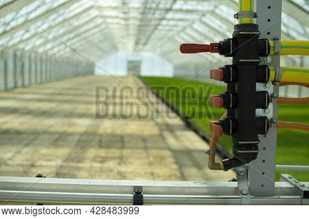 A Greenhouse For Growing Plants And Trees. Irrigation Technology In The Greenhouse.