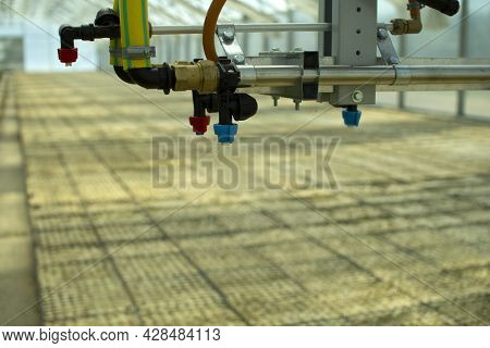 A Greenhouse For Growing Plants And Trees. Irrigation Technology In The Greenhouse.