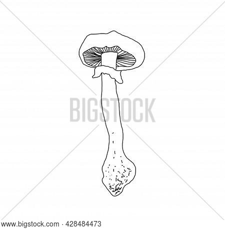 Illustration Of A Mushroom In The Style Of Linart