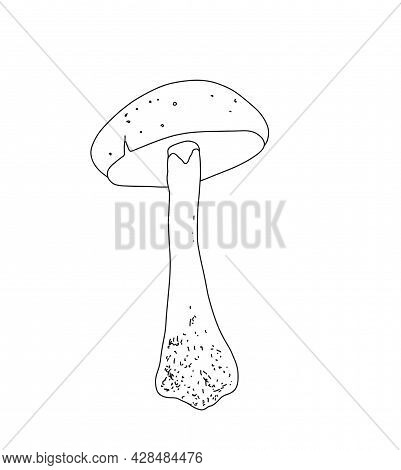 Illustration Of A Mushroom In The Style Of Linart