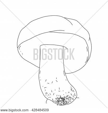 Illustration Of A Mushroom In The Style Of Linart