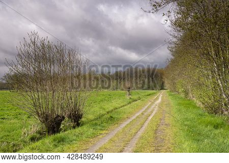 Heavy Clouds Above A Road On The Henschoten Estate