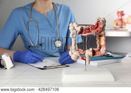 Gastroenterologist With Human Colon Model At Table In Clinic, Closeup